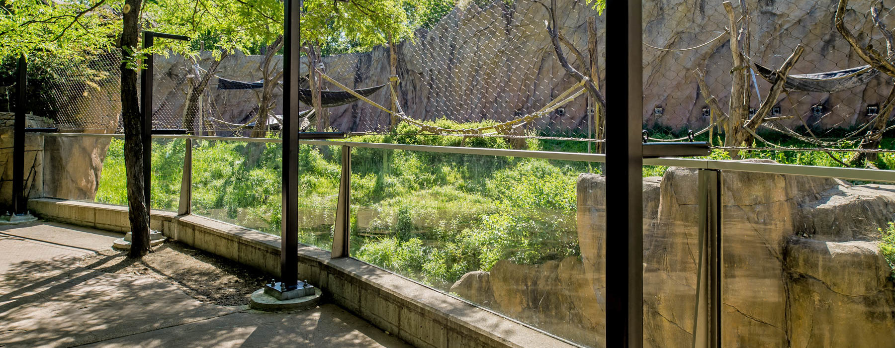STL Zoo Fragile Forest Fence